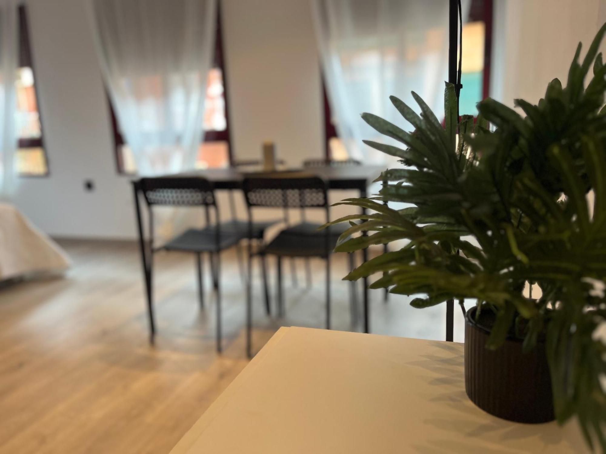 Apartamento Mya Estudio Centro